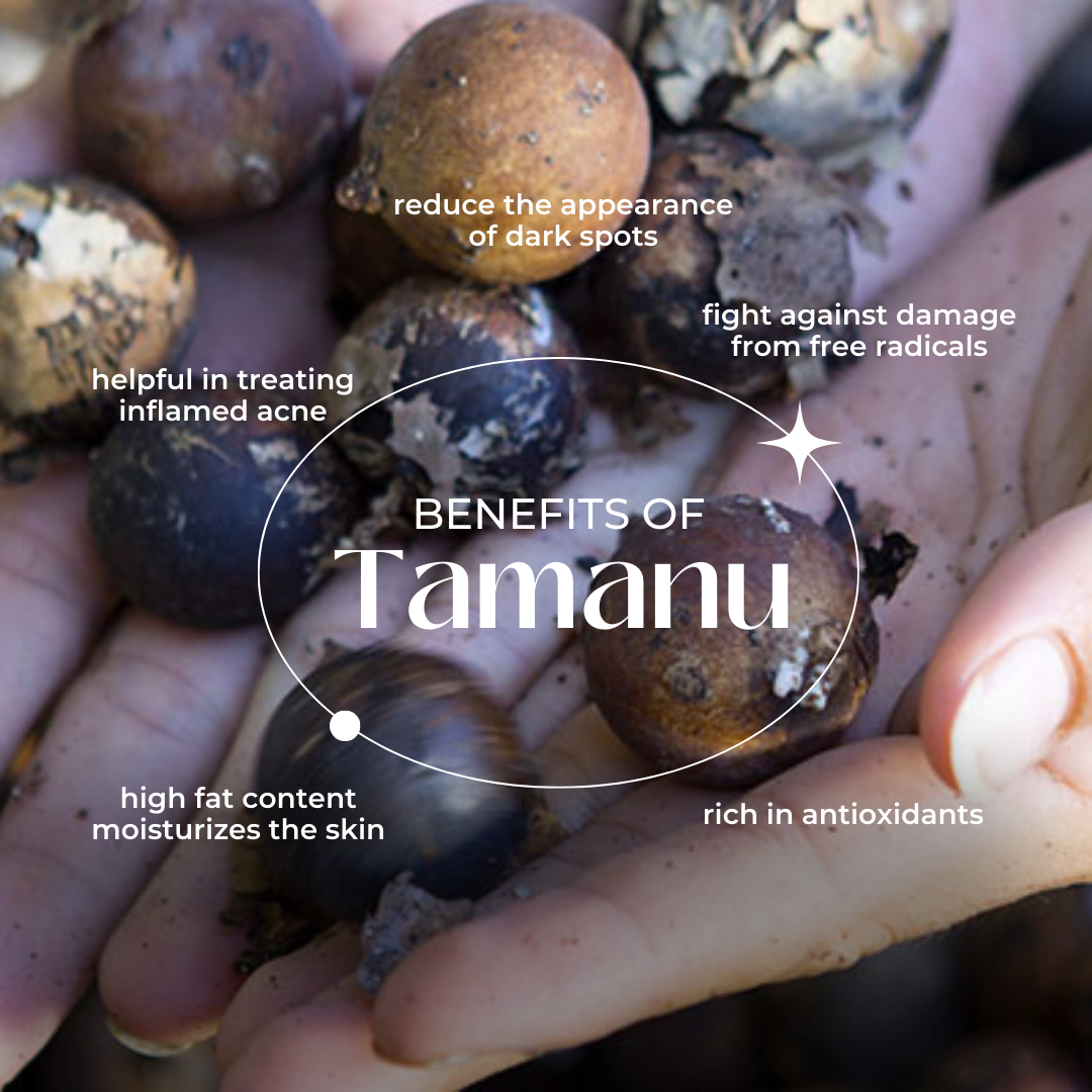 Toning & Revitalising Chandan Body Lotion with Tamanu Oil and Vitamin E - Naturadic