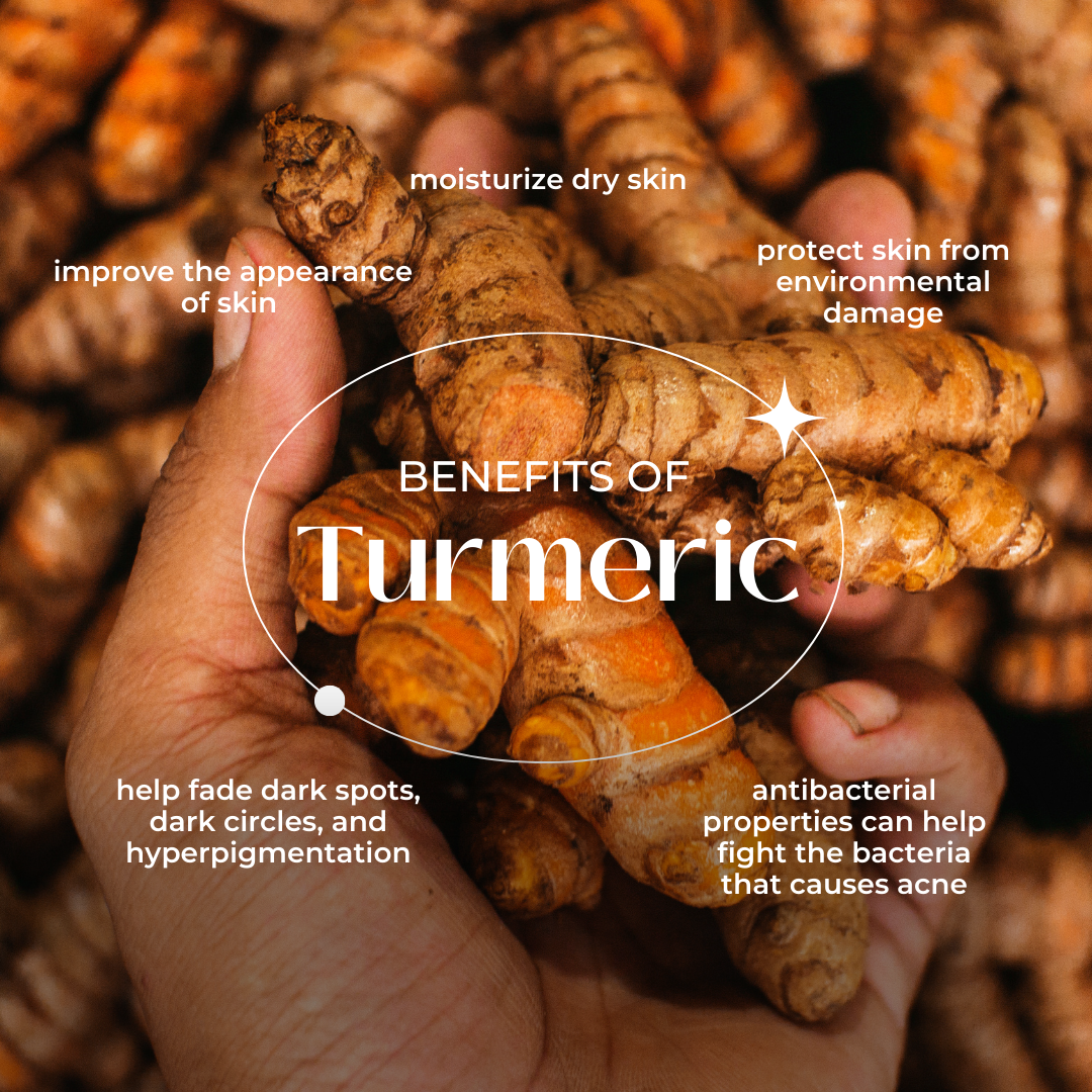 Daily Body Cleanser with Vetiver & Turmeric Root - Naturadic