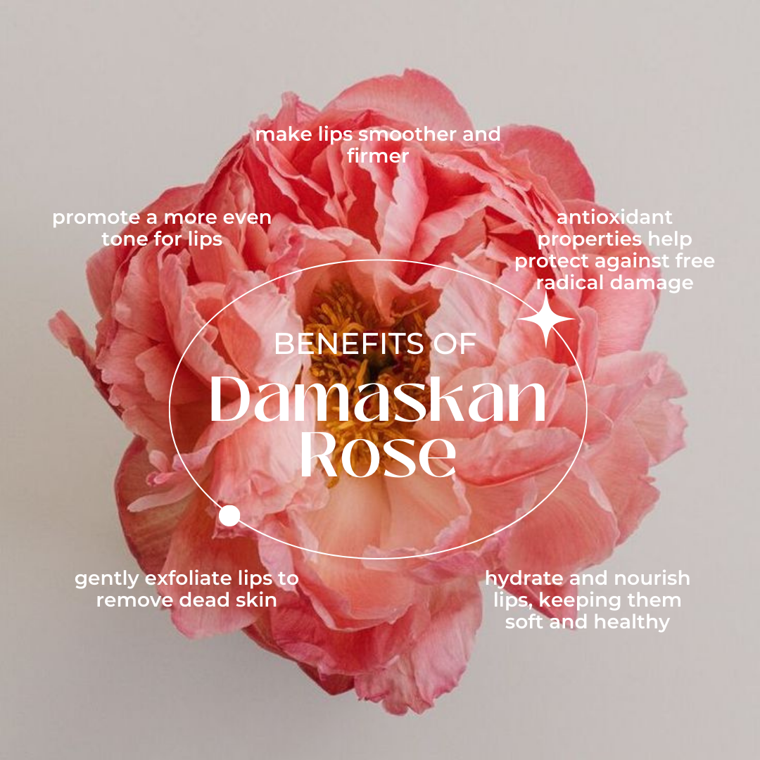 Damaskan Rose Lip Nourishment Balm - Naturadic